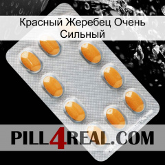 Красный Жеребец Очень Сильный cialis3